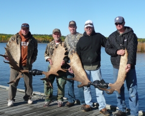 Moose Hunting