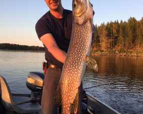 Northern Pike